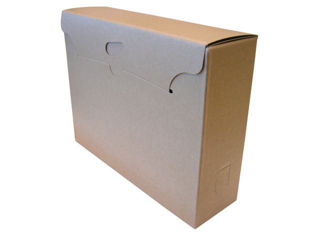Aktenbox, Karton, 255 x 110 x 360 mm, Braun