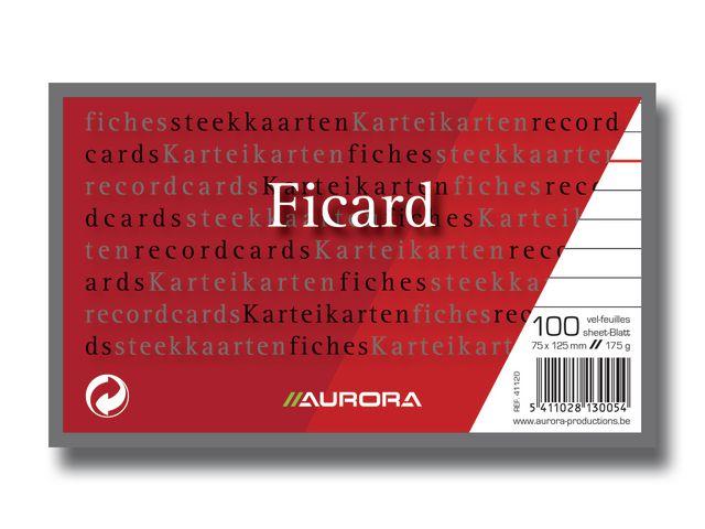  Ficard - Aufzeichnungskarte (Packung mit 100)
